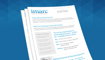Auditing Sell Sheet