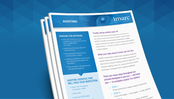 Auditing Sell Sheet