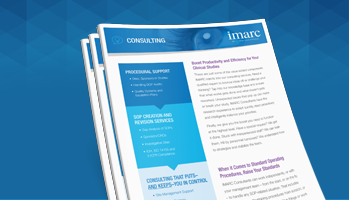 Consulting Sell Sheet